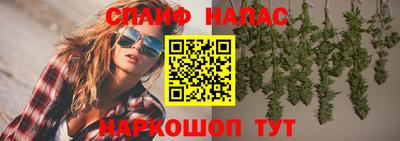 ГАЛЛЮЦИНОГЕННЫЕ ГРИБЫ Заволжье