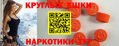 стафф Заводоуковск