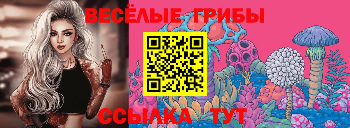 Кимры  Галлюциногенные грибы Magic Shrooms  магазин продажи   Псилоцибиновые грибы Psilocybine cubensis  Вход с VPN 