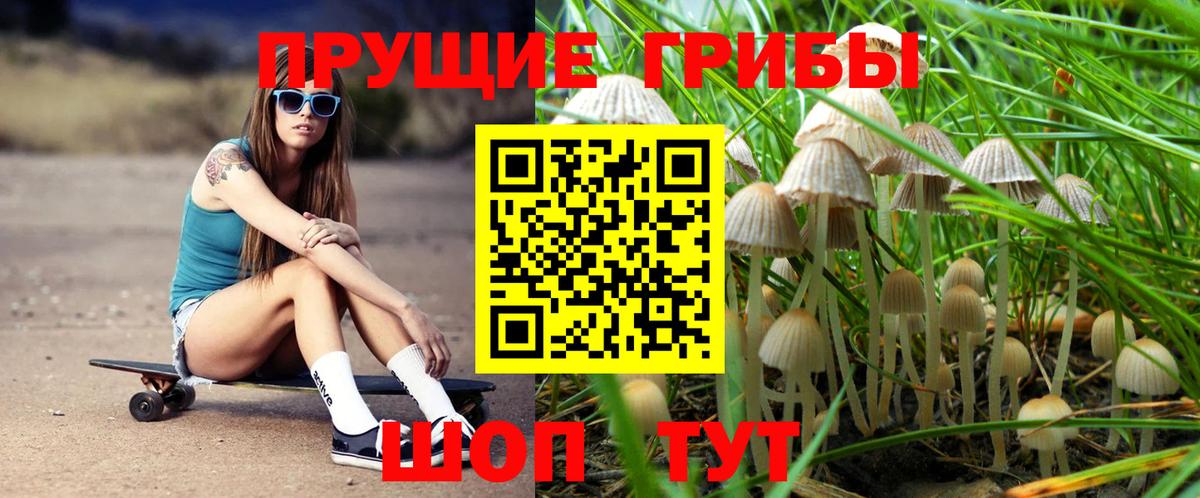 Псилоцибиновые грибы Magic Shrooms Кимры